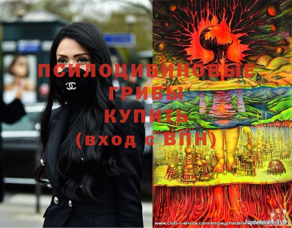 гидропоника Богородск