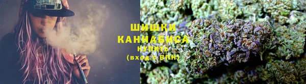 гидропоника Богородск